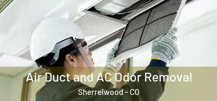  Air Duct and AC Odor Removal Sherrelwood - CO