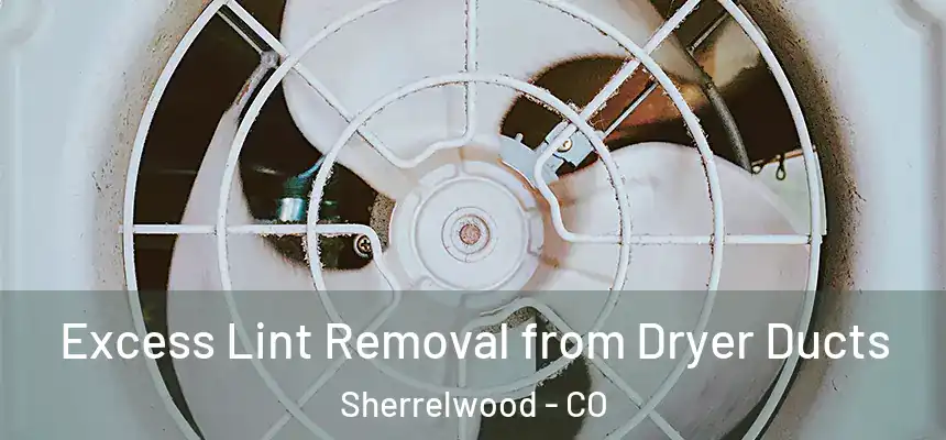  Excess Lint Removal from Dryer Ducts Sherrelwood - CO