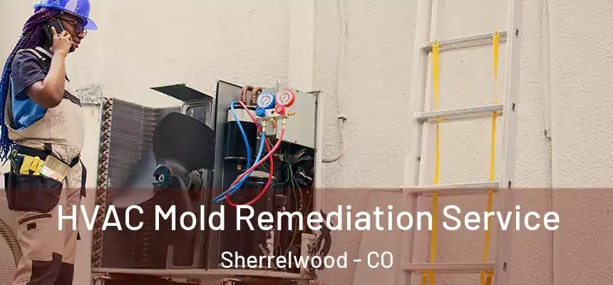  HVAC Mold Remediation Service Sherrelwood - CO