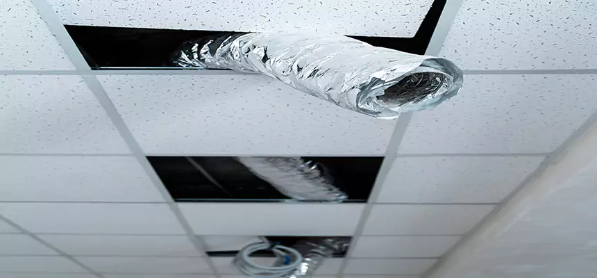 Our Air Duct Pet Hair Removal Services in Sherrelwood, CO