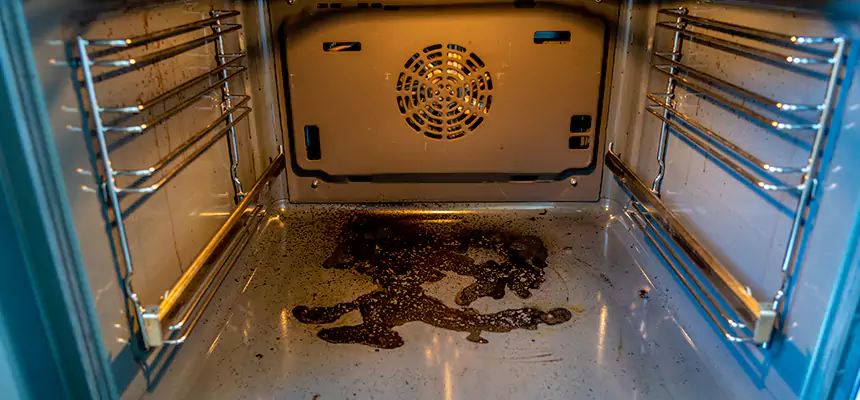 Our Dryer Vent Mold Cleaning Services in Sherrelwood, CO