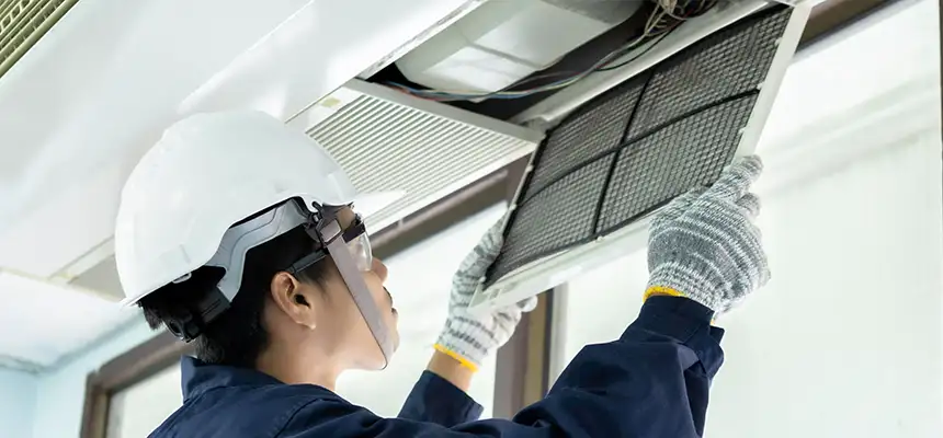 Our Lint Trap Cleaning Service Services in Sherrelwood, CO