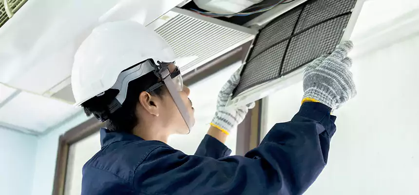 Our Mold & Mildew Removal from Air Ducts Services in Sherrelwood, CO