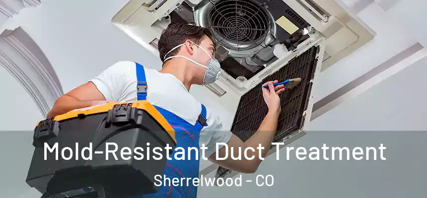  Mold-Resistant Duct Treatment Sherrelwood - CO