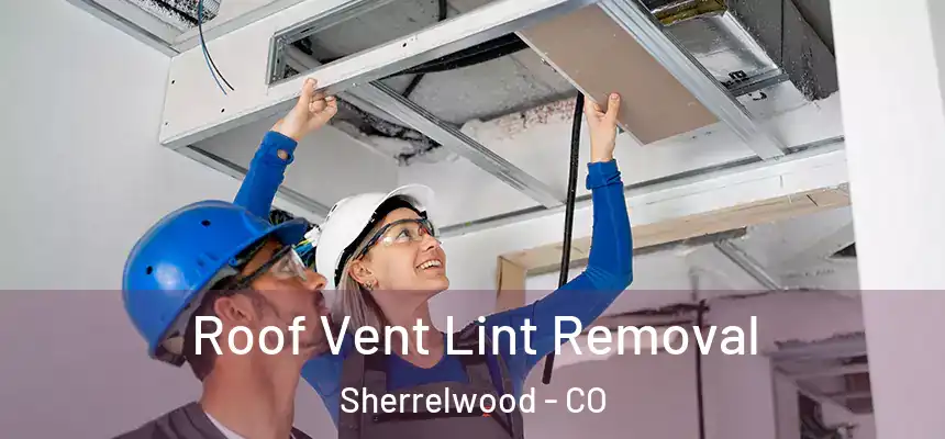  Roof Vent Lint Removal Sherrelwood - CO