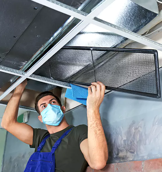 About Air Duct Bacteria Removal in Sherrelwood