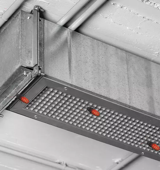 About Air Duct Cockroach Removal in Sherrelwood, CO