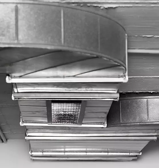 Professional Air Duct Pet Hair Removal in Sherrelwood, CO