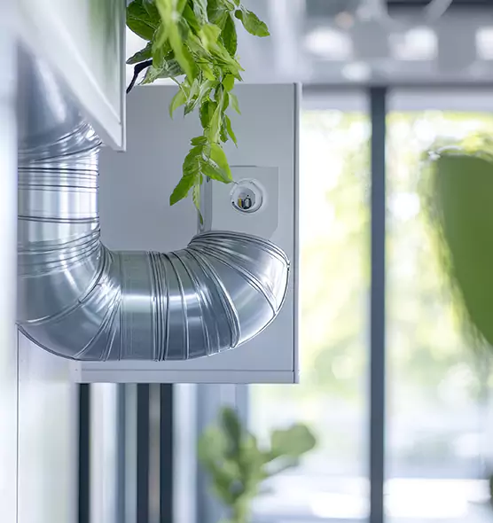 Professional Eco-Safe Dryer Vent Cleaning in Sherrelwood, CO