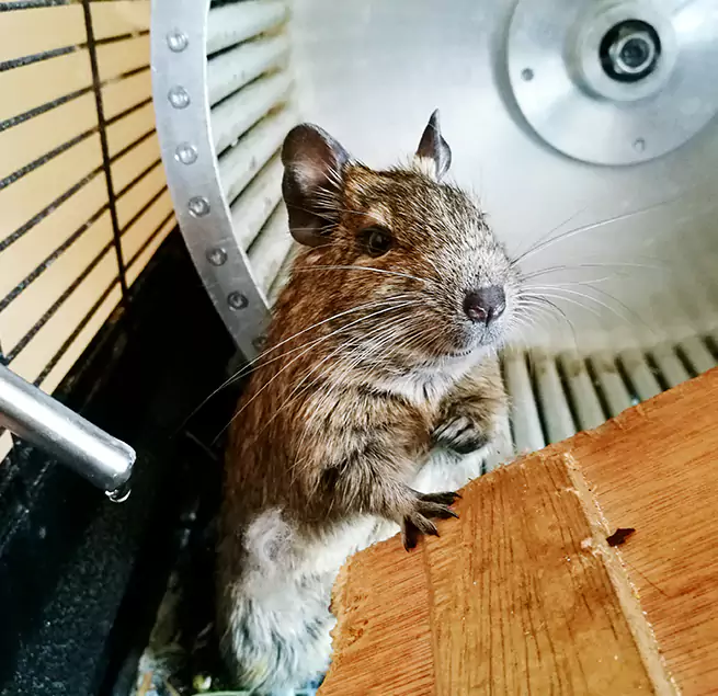 Why Homeowners & Businesses Trust Us Sherrelwood, CO