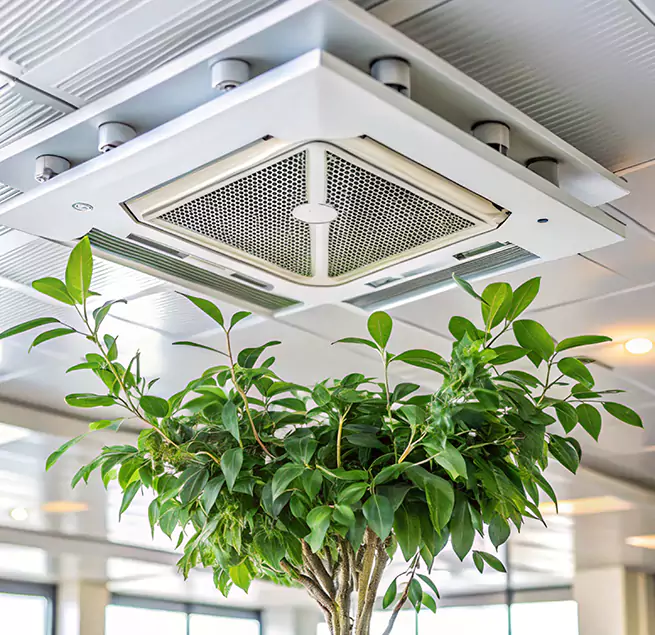 Why Homeowners & Businesses Trust Us in Sherrelwood, CO