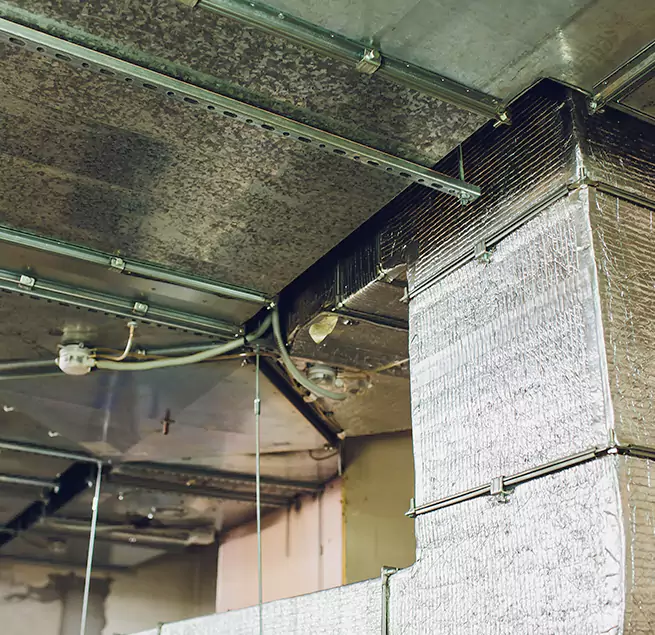 Why Homeowners & Businesses Trust Us in Sherrelwood, CO?